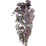 Yapay Çiçek Sarkan Lüx Okaliptus Pembe Rengi Yapay Sarmaşık 60*25Cm
