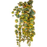 Yapay Çiçek Sarkan Lüx Okaliptus Sonbahar Rengi Yapay Sarmaşık 60*25Cm