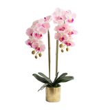 Yapay çiçek seti, Phalaenopsis yapay çiçekler, saksılı yapay orkide, vazoda sahte çiçek, oturma odası aranjmanları, dekorasyon için güzel,