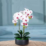 Yapay çiçek seti, saksılı yapay orkide, Phalaenopsis vazoda yapay çiçek, saksılı sahte çiçek, oturma odası dekorasyonu için saksı bitkileri, beyaz,