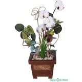 Yapay Çiçek Sitesi Ahşap Garden Saksıda Yapay Pamuk ve Okaliptüs Tanzimi 42 cm ycssaksılı-218
