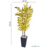 Yapay Çiçek Sitesi Ahşap Saksıda Yapay Meşe Ağacı 220 cm ycsagac-162