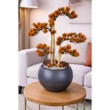 Yapay Çiçek Sitesi Antrasit Küre Saksıda Modern Minimal Tasarım Yapay Bonsai Ağacı Turuncu 65 cm ycsagac-171