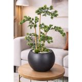 Yapay Çiçek Sitesi Antrasit Küre Saksıda Modern Minimal Tasarım Yapay Bonsai Ağacı Yeşil 65 cm ycsagac-165