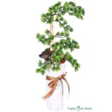 Yapay Çiçek Sitesi Beton Vazoda Yapay Tropikal Bonsai Aranjmanı 60 cm ycstanzimler-153