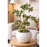 Yapay Çiçek Sitesi Beyaz Küre Saksıda Modern Minimal Tasarım Yapay Bonsai Ağacı Yeşil 65 cm ycsagac-164
