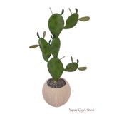 Yapay Çiçek Sitesi Bohem Küre Saksıda Yapay Kaktüs 120 cm Model 2 ycsagac-221