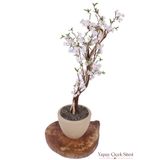 Yapay Çiçek Sitesi Bohem Saksıda Lüks Yapay Sakura Ağacı 125 Cm Beyaz ycsagac-234