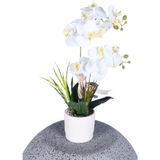 Yapay Çiçek Sitesi Dekoratif Beton Saksıda Yapay 2 Dal Beyaz Orkide Çiçeği - 50x35 Cm
