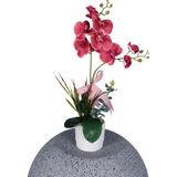 Yapay Çiçek Sitesi Dekoratif Beton Saksıda Yapay 2 Dal Pembe Orkide Çiçeği - 50x35 Cm