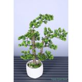 Yapay Çiçek Sitesi Dekoratif Saksıda Yapay Bonsai Ağaç 55 Cm ycsagac-112