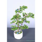 Yapay Çiçek Sitesi Dekoratif Saksıda Yapay Kuşlu Bonsai Ağaç 55 Cm ycsagac-113