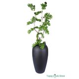 Yapay Çiçek Sitesi Dev Fiber Saksıda Yapay Bonsai Ağacı 220 Cm ycsagac-119