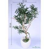 Yapay Çiçek Sitesi Fiber Saksıda Bonsai Gövdeli Premium Yapay Zeytin Ağacı 180 cm ycsagac-142