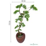 Yapay Çiçek Sitesi Fiber Saksıda Doğal Gövdeli Bonsai Yapay Ağaç 170 Cm ycsagac-110