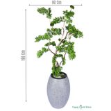 Yapay Çiçek Sitesi Fiber Saksıda Doğal Gövdeli Bonsai Yapay Ağaç 190 Cm ycsagac-111