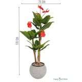 Yapay Çiçek Sitesi Gri Fiber Saksıda Yapay Antoryum Ağacı 170 cm (Anthurium) ycsagac-107