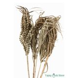 Yapay Çiçek Sitesi Kuru Çiçek Doğal Yılan Örgü Palm Snake Stems 75 Cm 5li ycskurucicek-133