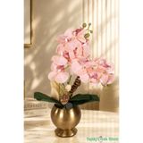 Yapay Çiçek Sitesi Metal Bronz Küre Saksıda Orkide Tanzimi 43 cm Somon ycstanzimler-270
