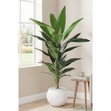 Yapay Çiçek Sitesi Plastik Küre Saksıda Yapay Starliçe Bitkisi 87 Cm ycssaksılı-201
