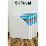 Yapay Çiçek Sitesi Standart Tuval 25X25 5li - Beyaz