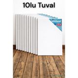 Yapay Çiçek Sitesi Standart Tuval 25X35 10LU - Beyaz
