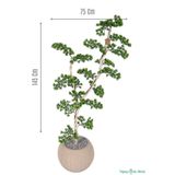 Yapay Çiçek Sitesi Yapay Bonsai Ağacı 145 cm Yeşil Bohem Krem Saksıda ycsagac-210
