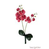Yapay Çiçek Sitesi Yapay Islak Dokulu 2'li Orkide 55 cm Koyu Fuşya YCS-56koyufuşya