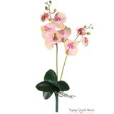 Yapay Çiçek Sitesi Yapay Islak Dokulu 2'li Orkide 55 cm Somon Pembe ycs-56somonpembe