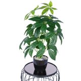 Yapay Çiçek Sitesi Yapay Refah Çiçeği Bitkisi 70 cm ycssaksılı-193