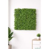 Yapay Çiçek Sitesi Yapay Yoğun Yapraklı Bitki Paneli 45x65 cm Tırtıklı duvar-emc-7187