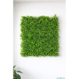 Yapay Çiçek Sitesi Yapay Yoğun Yapraklı Bitki Paneli 45x65 cm Yonca duvar-emc-7190