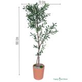 Yapay Çiçek Sitesi Yapay Zeytin Ağacı 190 cm Bohem Kiremit Saksıda ycsagac-199