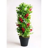 Yapay Çiçek Siyah Saksıda Kokinalı Yeşil Şimşir Ağacı 70*30Cm