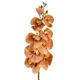 Yapay Çiçek Somon Rengi Islak Orkide Uzun Dal 90 cm Orkide