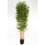YAPAY ÇİÇEKÇİNİZ 7 Gövdeli Yoğun Yapraklı 180 Cm Bambu Ağacı