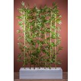 YAPAY ÇİÇEKÇİNİZ BAMBU SEPERATÖR 170 CM