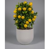 Yapay Çiçekçiniz Beyaz Beton Saksıda Yapay Limon Ağacı