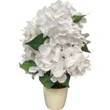 Yapay Çiçekçiniz Beyaz Saksıda Yapay Ortanca Ağacı 40 Cm