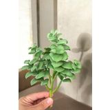 Yapay Çiçekçiniz Gerçek Dokulu Yapay Kaktüs Sukulent
