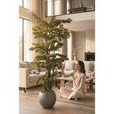 Yapay Çiçekçiniz Modern Küre Saksıda 180 Cm Yoğun Yapraklı Lüks Bonzai Bonsai Ağacı Yeşil