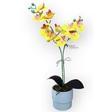 Yapay Çiçekçiniz Modern Tasarim Beyaz Renkli Saksida 2 Dalli Yapay Islak Orkide 50 Cm Çok Renkli