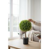 Yapay Çiçekçiniz Siyah Renkli Saksıda Yoğun Yapraklı 65 Cm Yapay Top Şimşir Ağacı 35x35