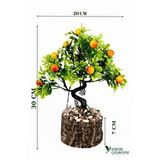 Yapay Çiçekçiniz Taş Detaylı Odun Saksıda Yapay Bonsai Ağacı - Yeşil