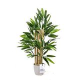 Yapay Çiçekçiniz Taş Detaylı Saksıda 60 Cm Yapay Bambu Ağacı Yeşil