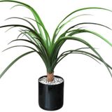Yapay Çiçekçiniz TAŞ KAPLI SİYAH RENKLİ SAKSIDA 55 CM YAPAY YUKA AĞACI