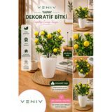 Yapay Dekoratif Limon Ağacı | 40-45 Cm | Dolamit Taşlı | Saksılı