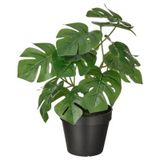 Yapay Devetabanı Bitkisi Meridyendukkan 12cm Monstera Çiçeği İç-Dış Mekana Uygun