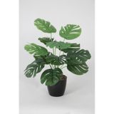 Yapay Devetabanı Monstera Bitkisi Siyah Saksıda 45 Cm
