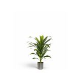 Yapay Dracaena Fragrans ağaç 120 cm metal saksı svm.1456